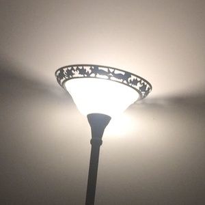 Meet your Posher, Zach